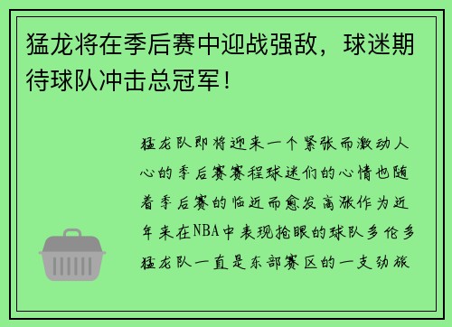 猛龙将在季后赛中迎战强敌，球迷期待球队冲击总冠军！